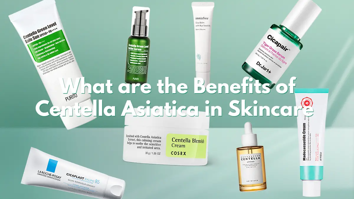 Centella Asiatica (Cica) Benefits in Skincare