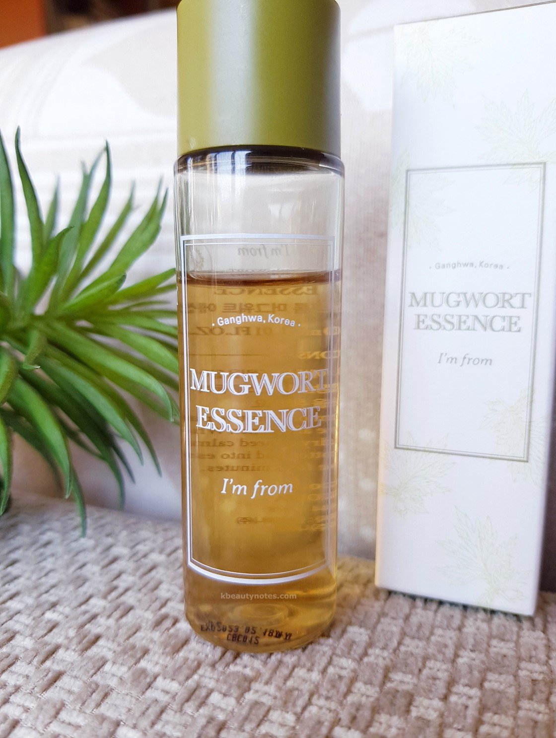 Review: I'm From Mugwort Essence - Kbeauty Notes